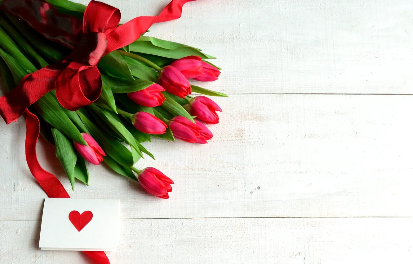 Фото обои цветы, красный, тюльпаны, красные тюльпаны