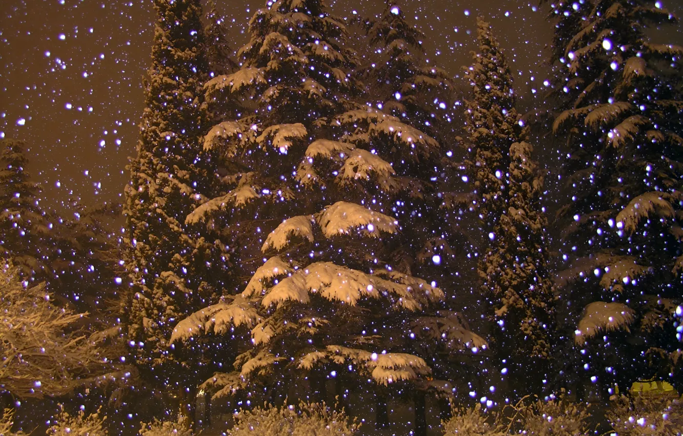 Фото обои Природа, Снег, Nature, Snow, Зимний Лес, Winter Forest