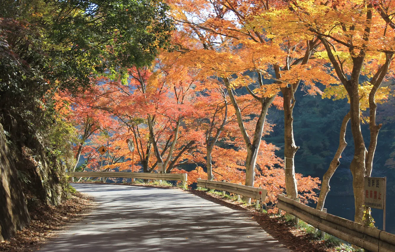 Фото обои Japan, panorama, Moroyama, Oyagi