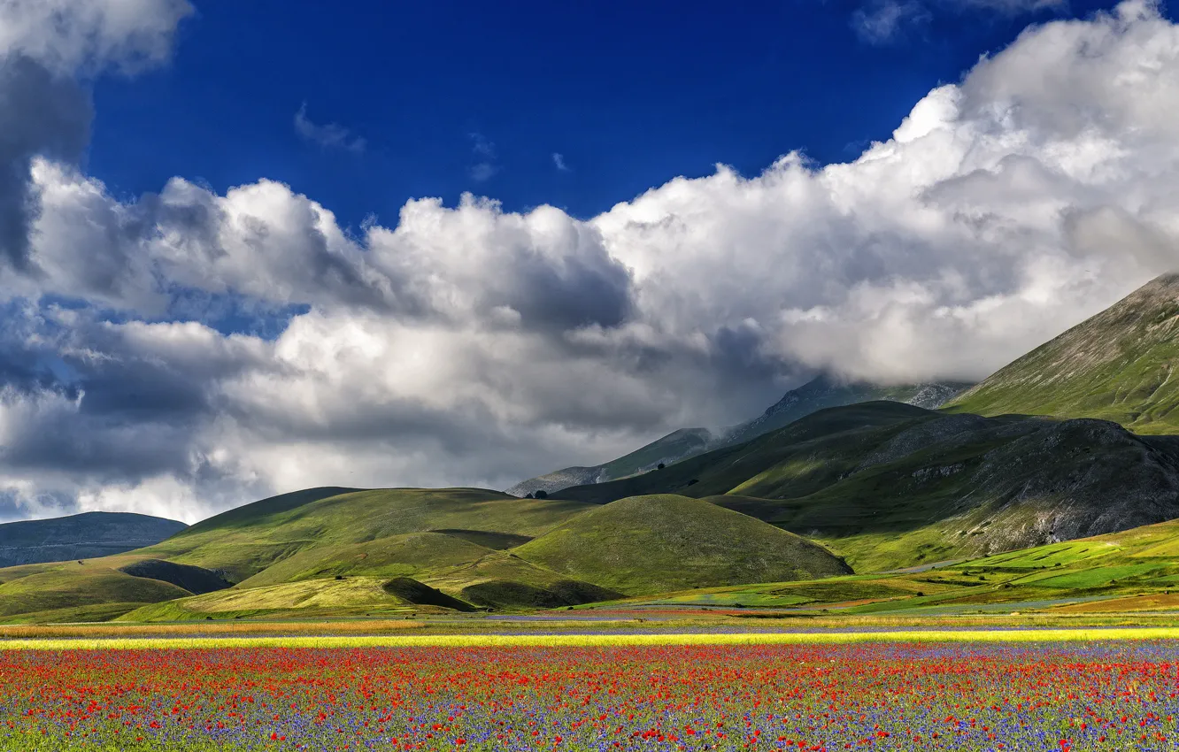 Фото обои небо, облака, цветы, горы, маки, луг, Италия
