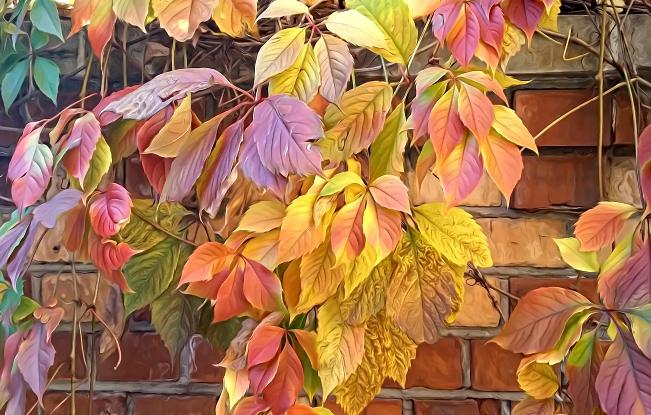 Фото обои природа, рендеринг, краски осени, кирпичная стена, осенние листья, дикий виноград