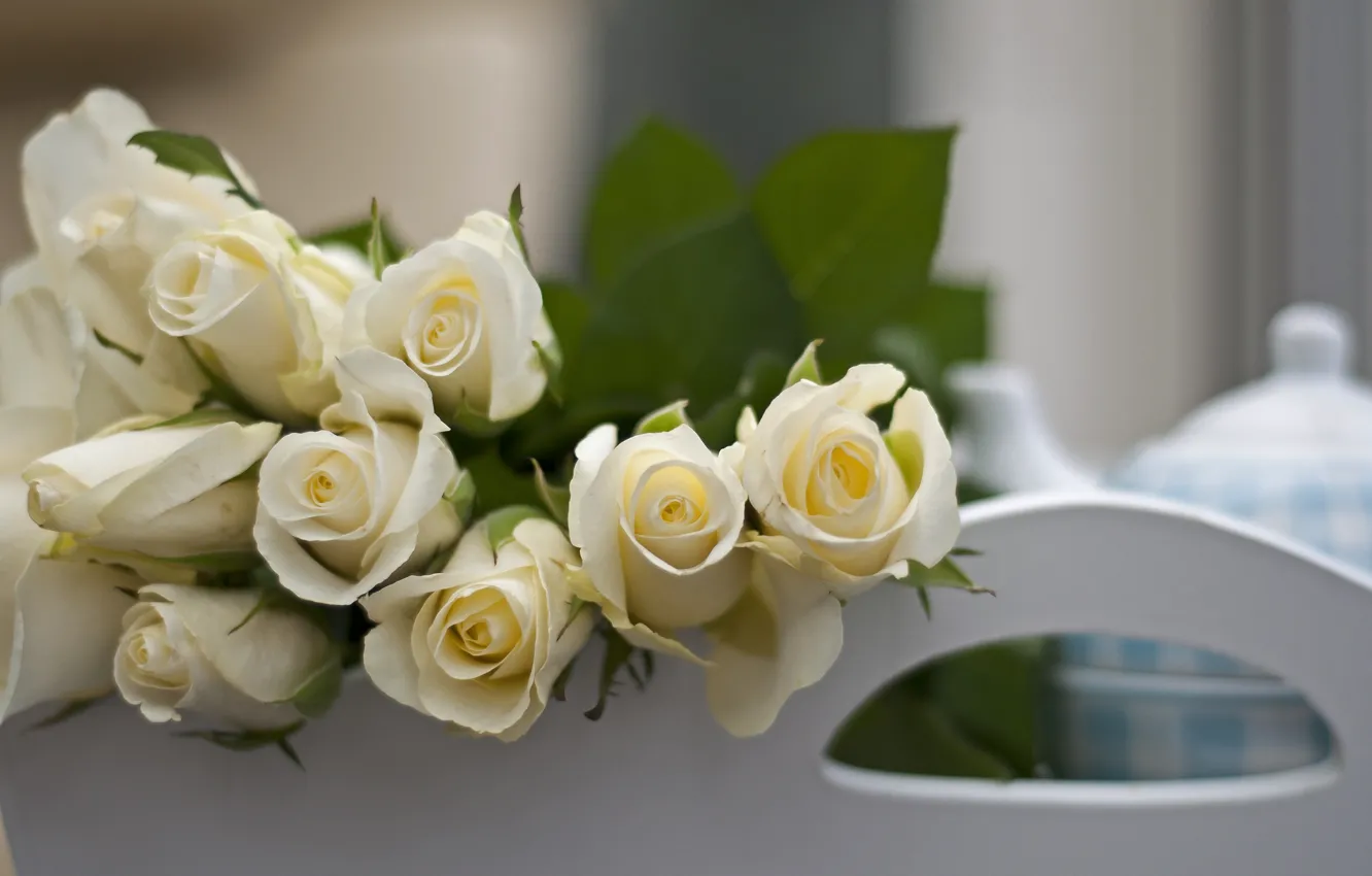 Фото обои цветы, розы, букет, white, белые, flowers, bouquet, roses