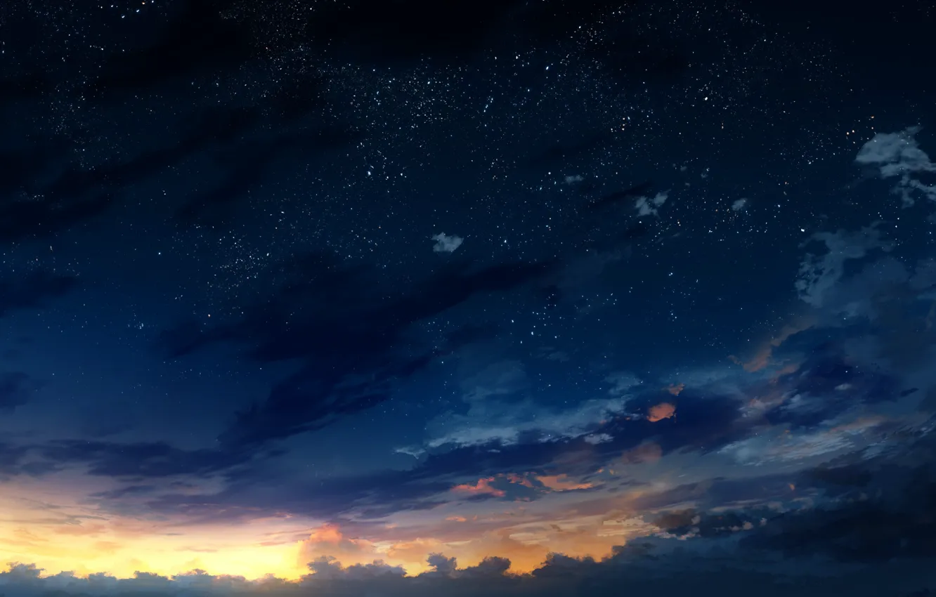 Фото обои небо, звезды, деревья, закат