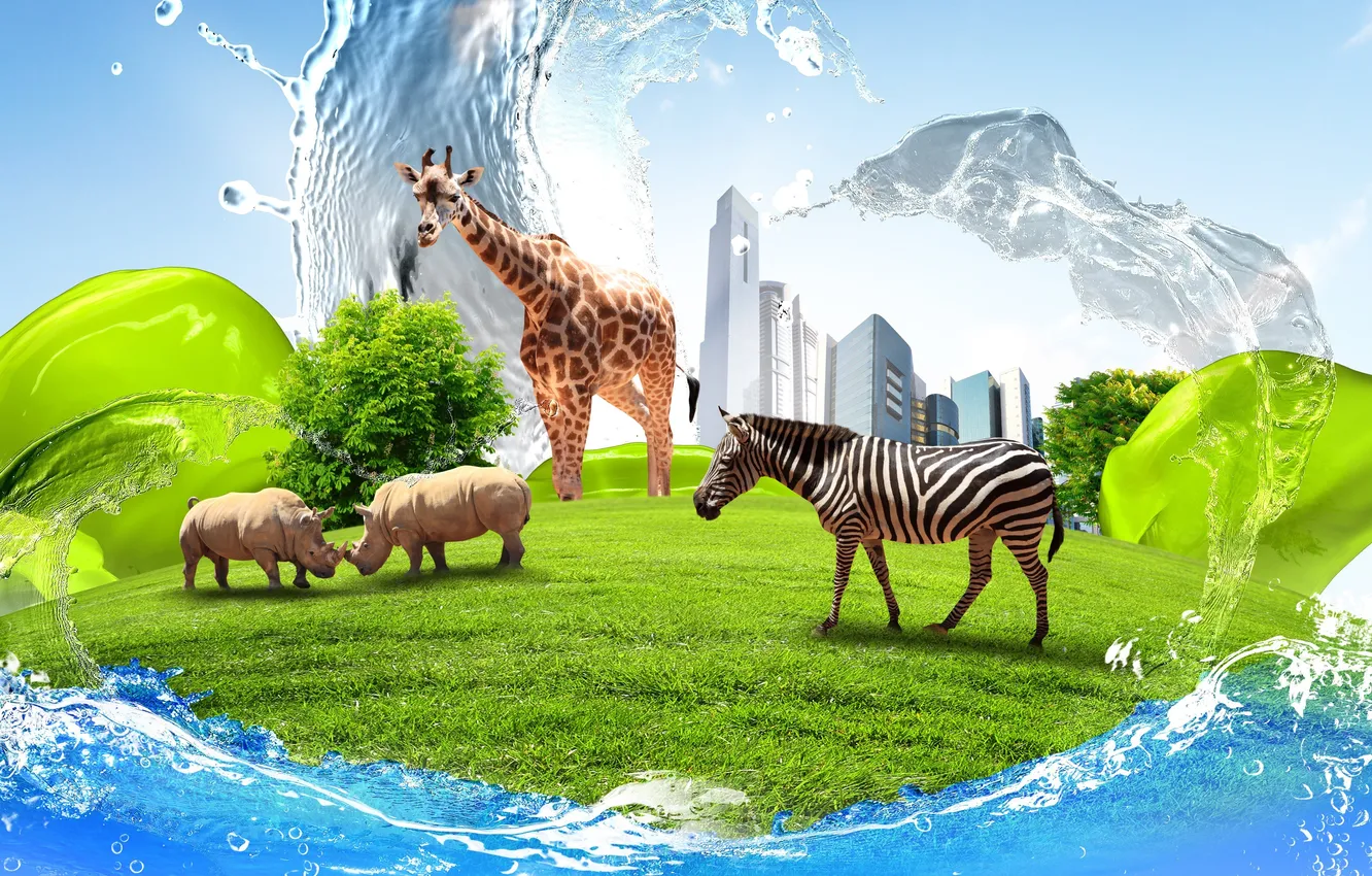 Фото обои трава, вода, креатив, газон, здания, жираф, зебра, носороги