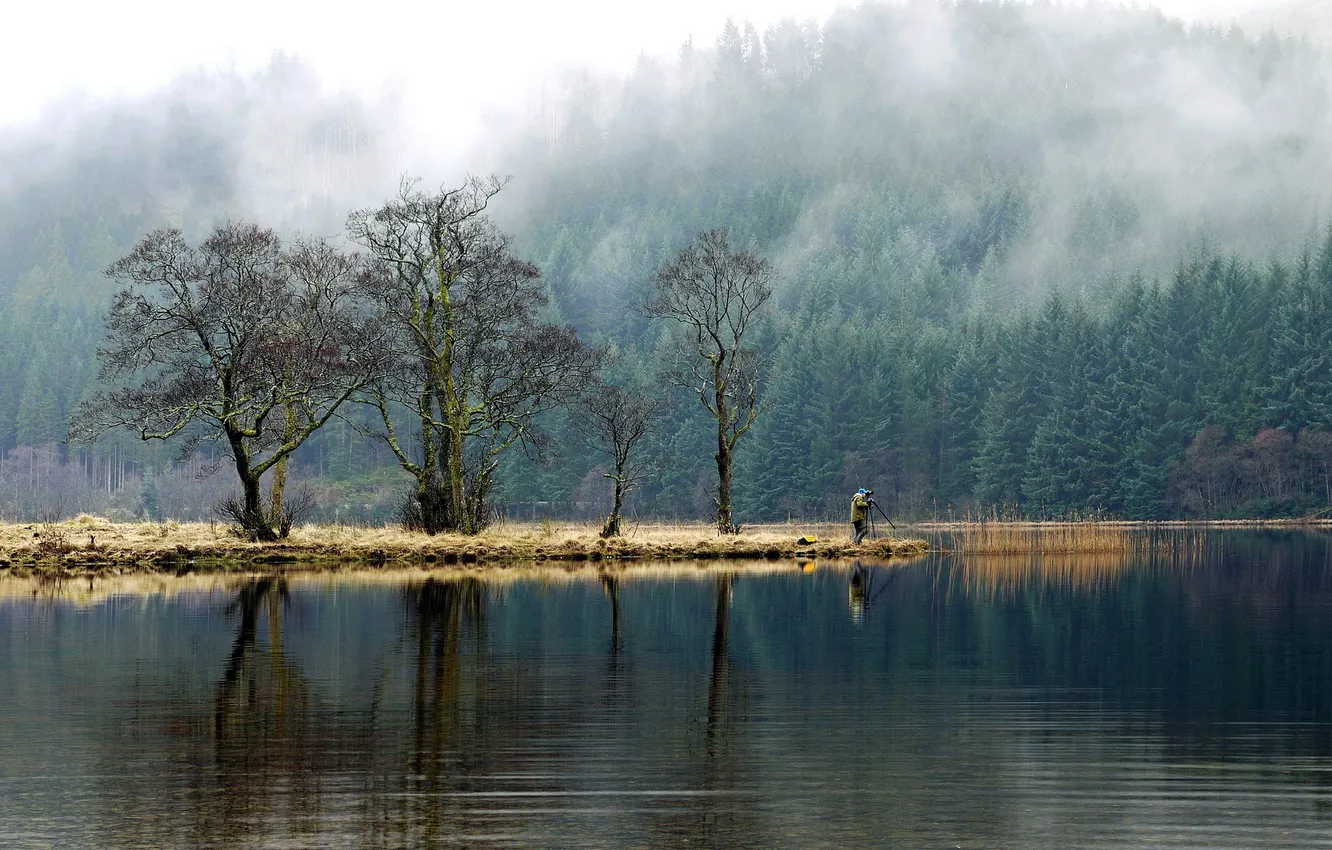 Фото обои деревья, озеро, фотограф