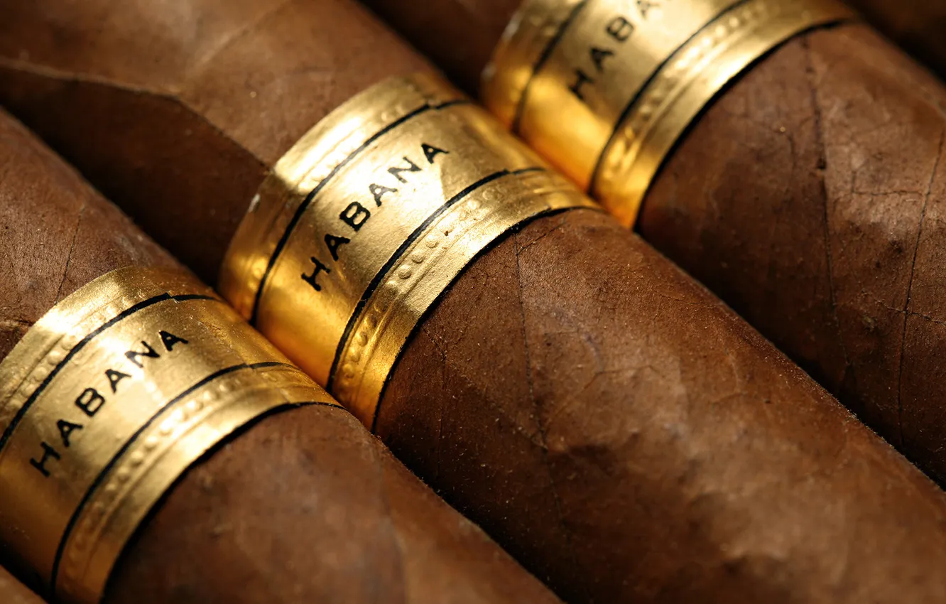 Фото обои золото, habana, сигары, марка, табак