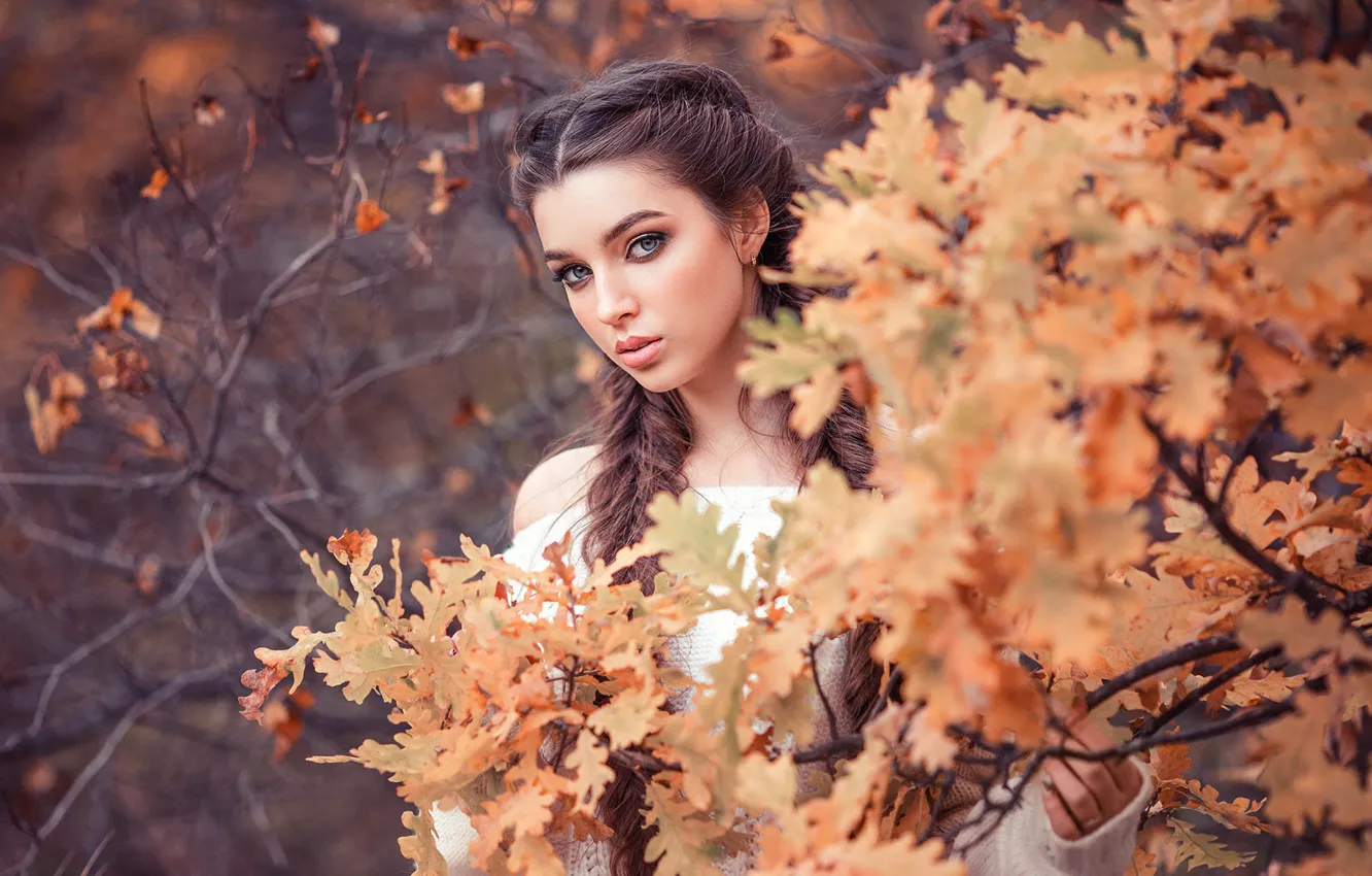 Фото обои girl, long hair, trees, brown hair, photo, photographer, blue eyes, leaves