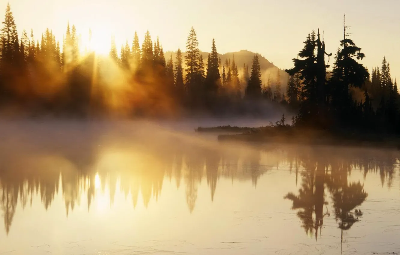 Фото обои деревья, горы, природа, туман, река, утро