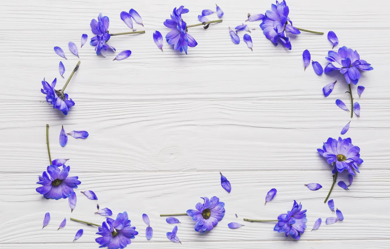 Фото обои лепестки, wood, flowers, violet