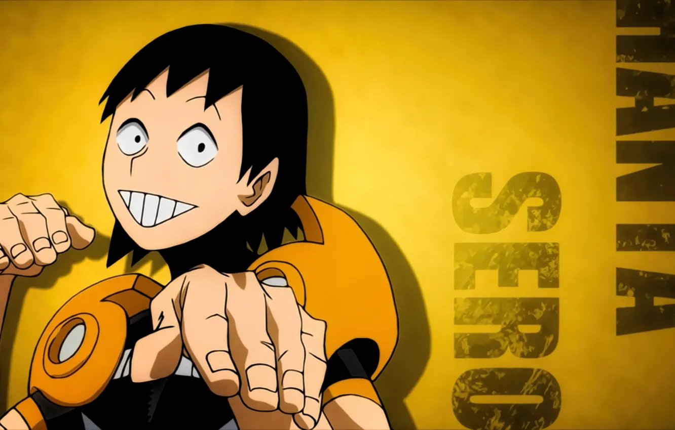 Фото обои anime, hero, manga, japanese, by sanoboss, Boku no Hero Academia, My Hero Academia, 010