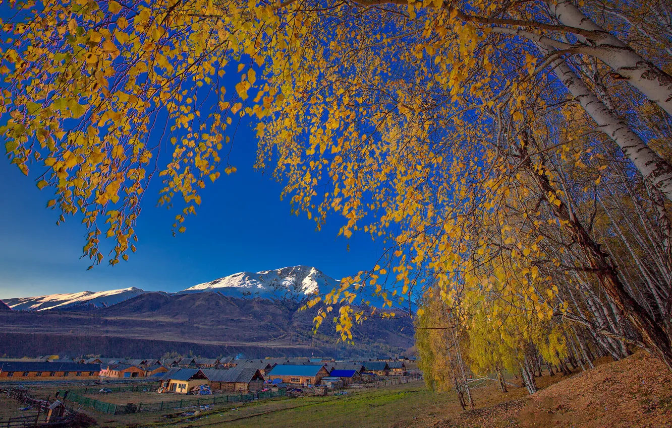 Фото обои осень, небо, листья, деревья, горы, дома, деревня