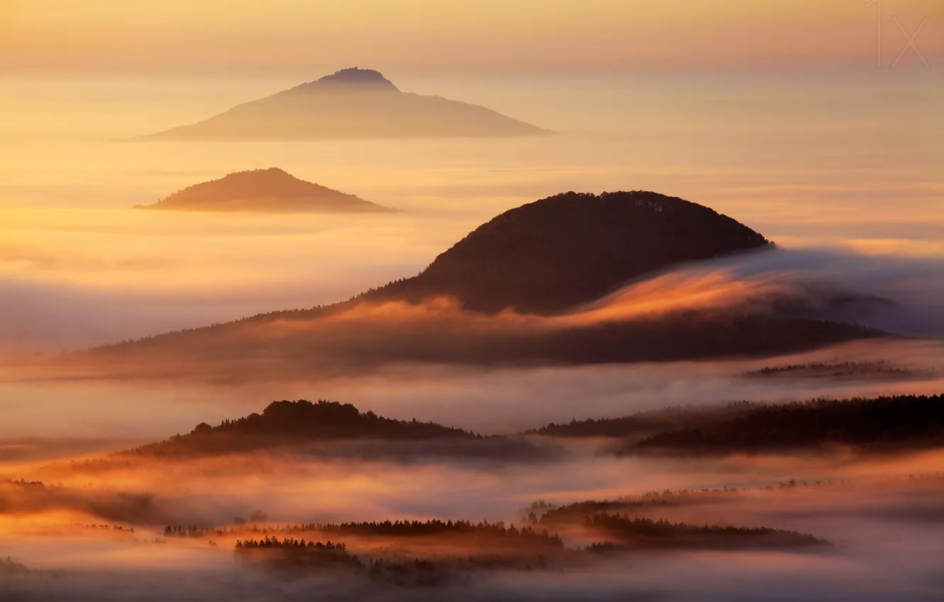 Фото обои лес, облака, горы, туман, forest, mountains, clouds, fog