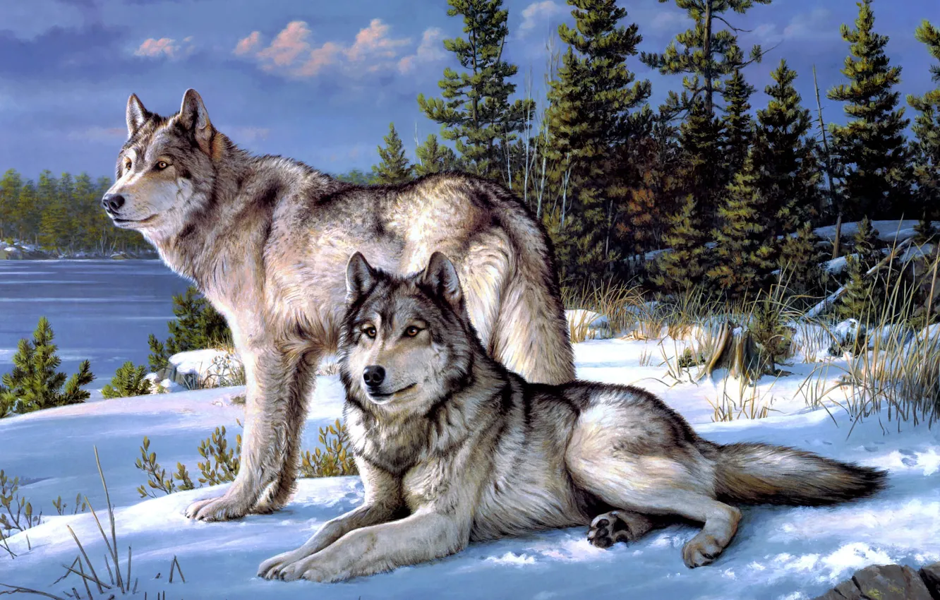 Фото обои зима, лес, волки, Joseph Hautman