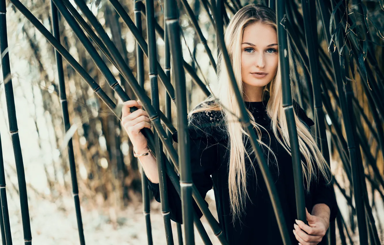 Фото обои девушка, бамбук, Rika Berhorst