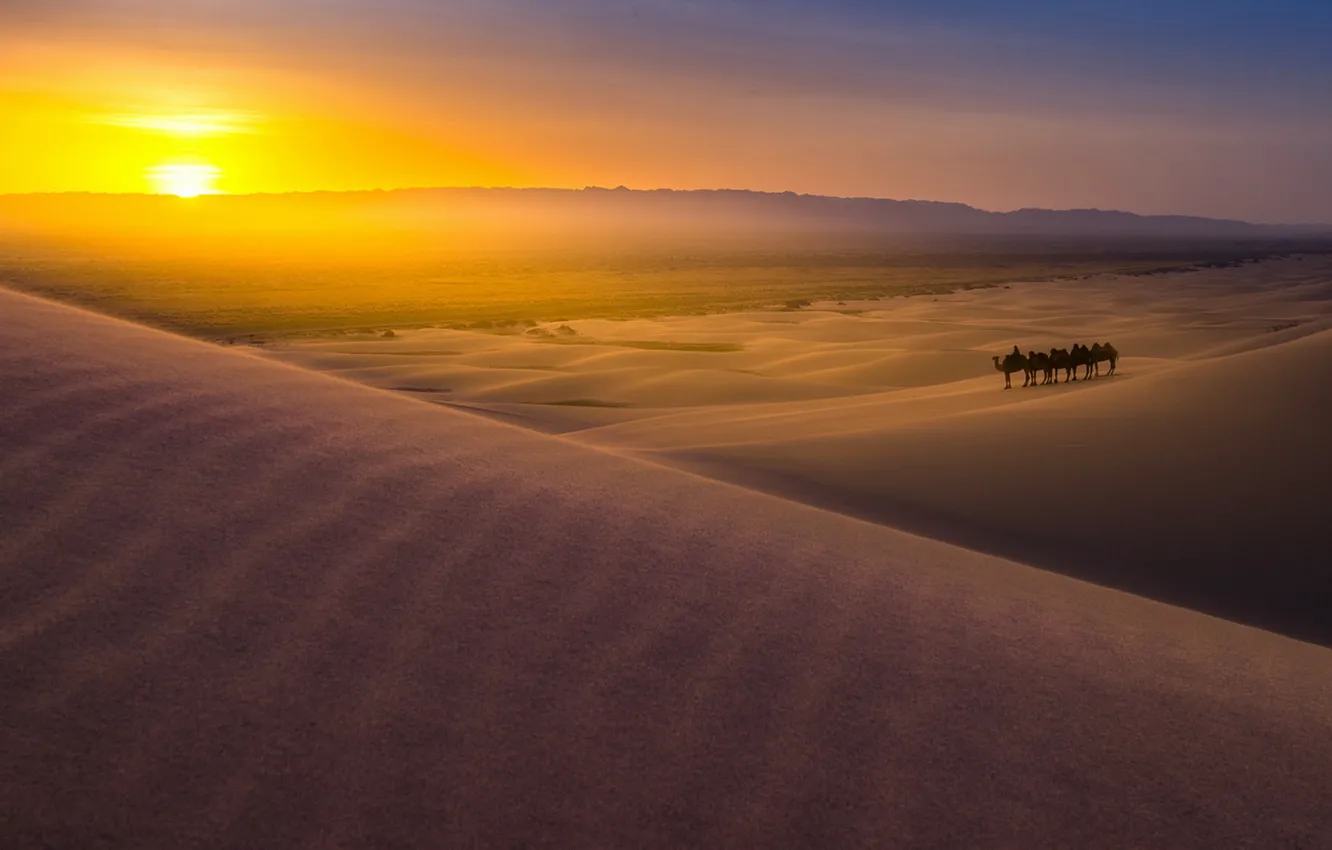 Фото обои закат, природа, пустыня