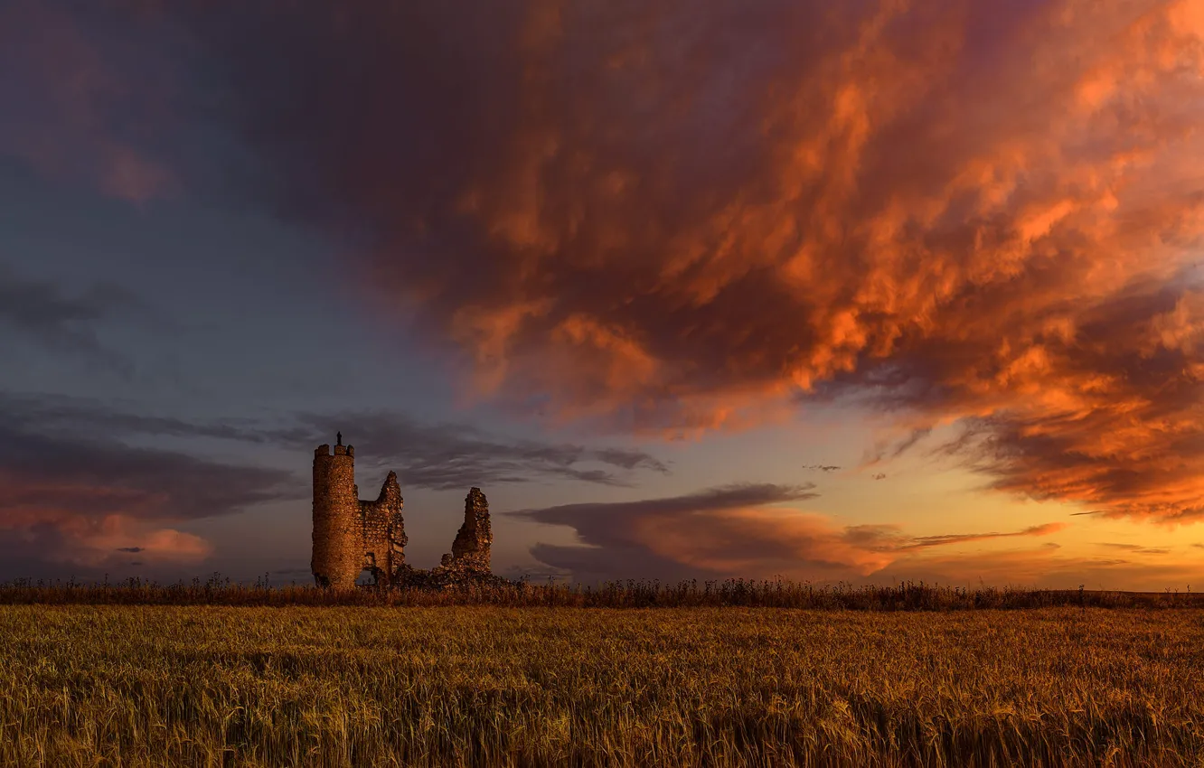 Фото обои поле, замок, руины