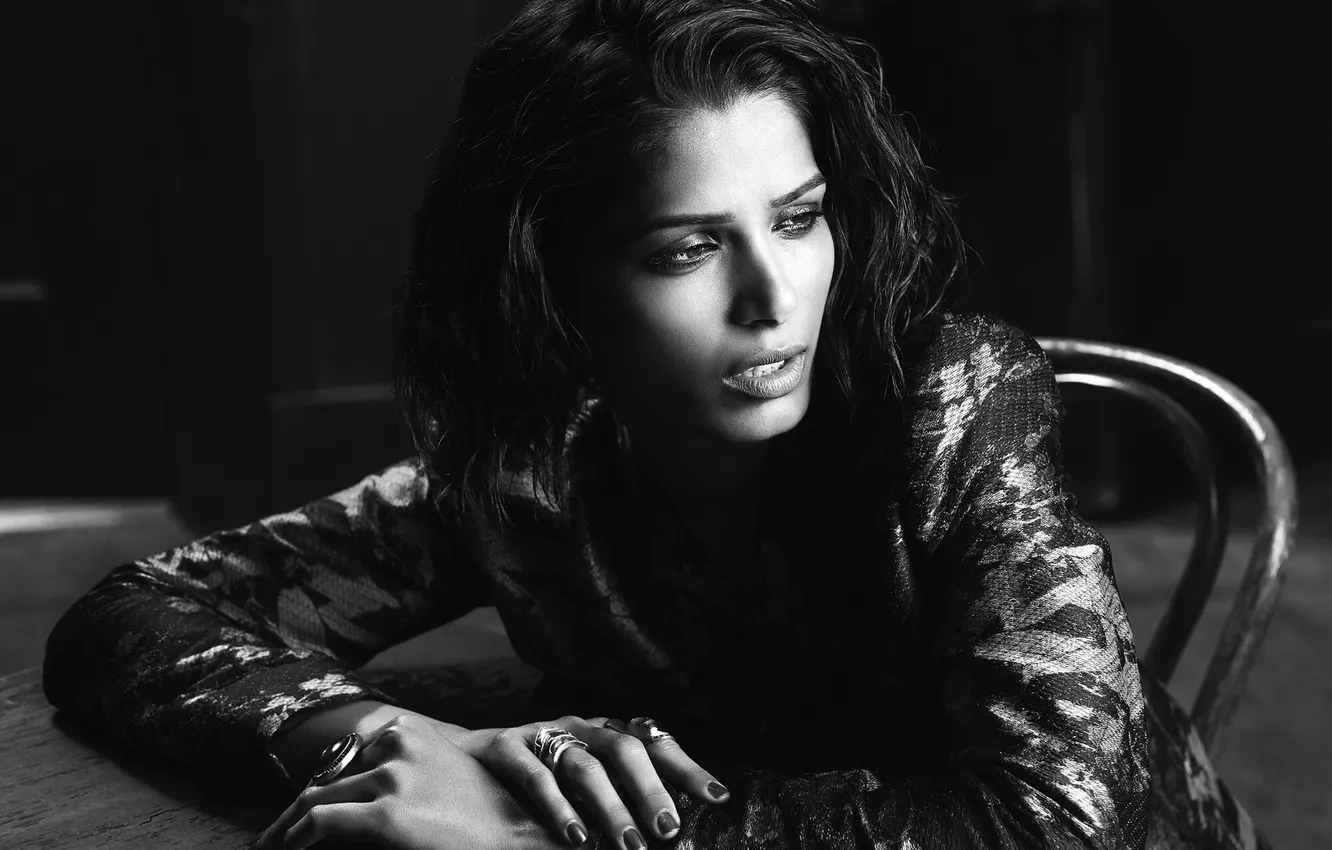 Фото обои девушка, актриса, черно-белое, Freida Pinto, Фрида Пинто