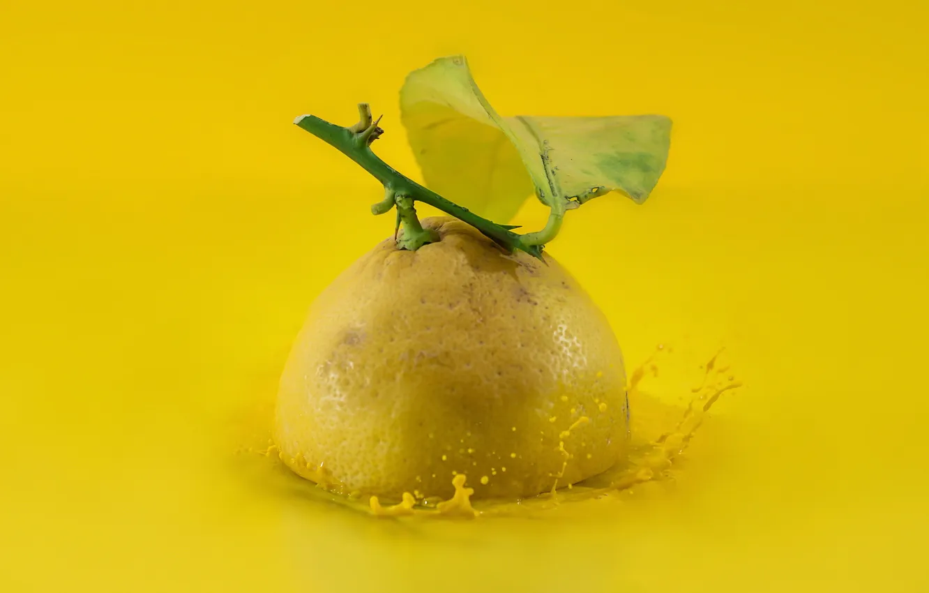 Фото обои фон, лимон, фрукт
