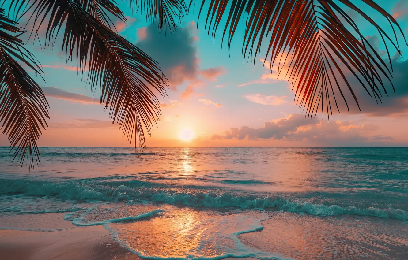Фото обои beach, ocean, sunset, palm
