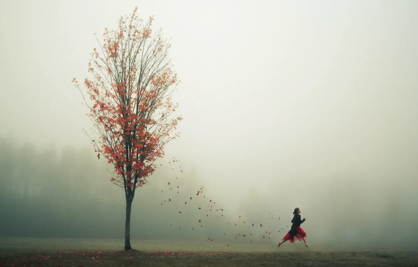 Фото обои осень, листья, девушка, туман, дерево