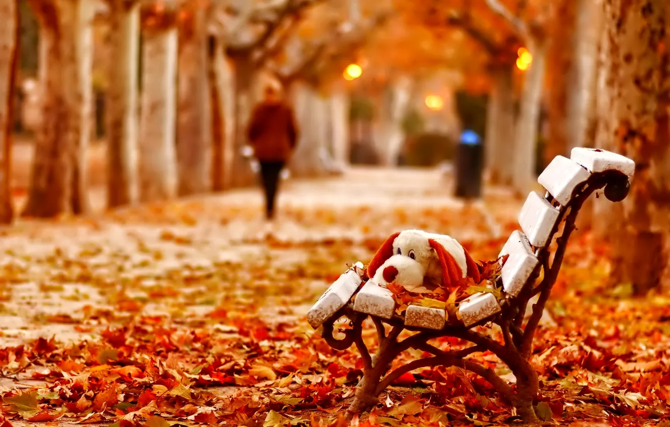 Фото обои скамейка, листва, игрушка, Осень, силуэт