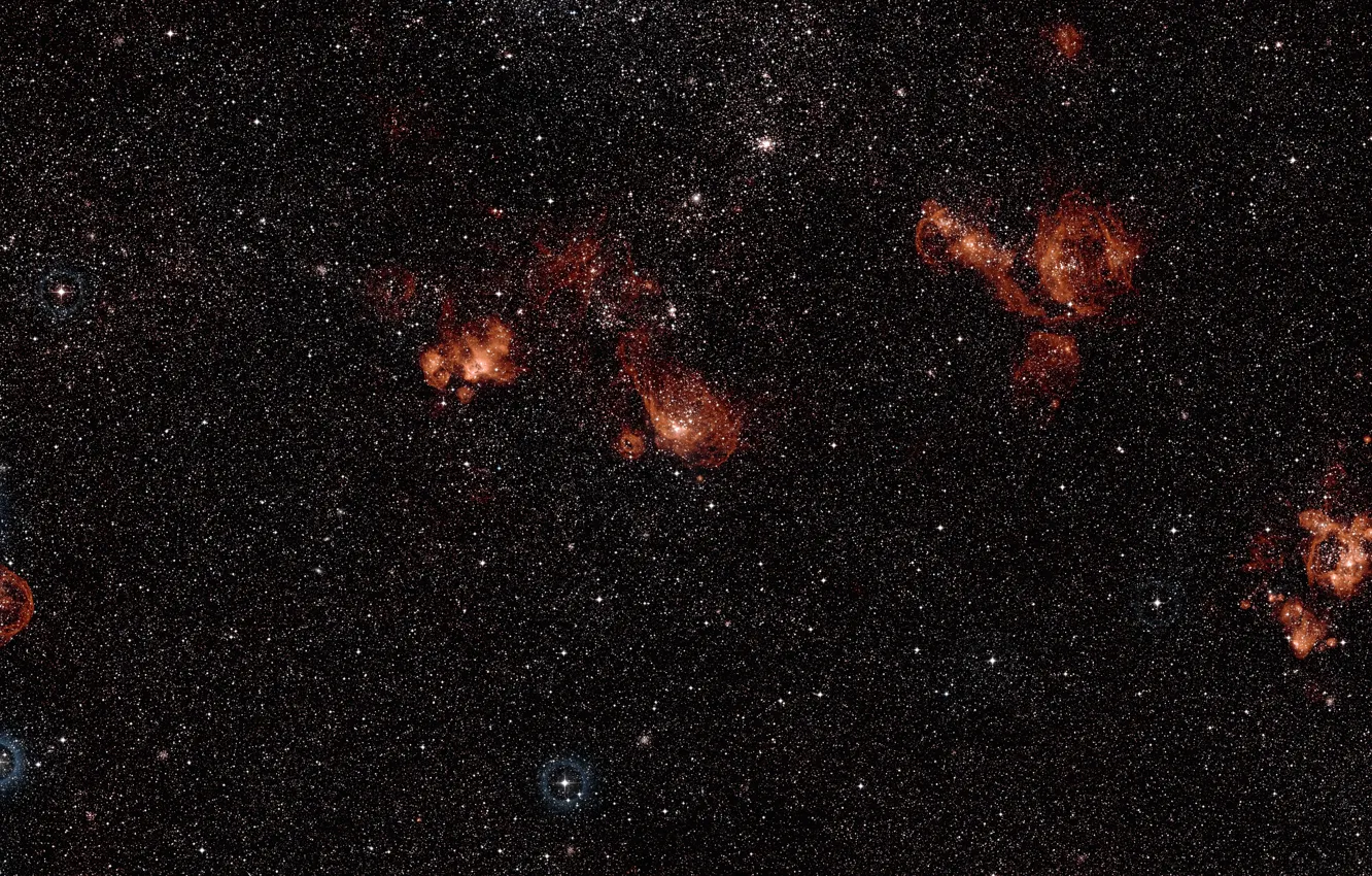 Фото обои The Swordfish, constellation of Dorado, Magellanic Cloud, NGC 2014, NGC 2020