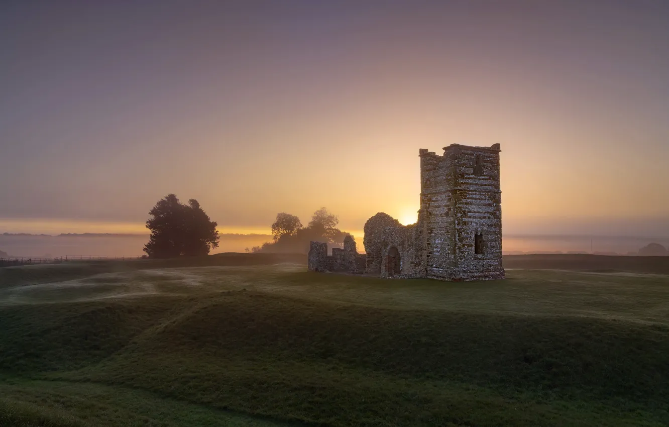 Фото обои England, East Dorset District, Wimborne St Giles, Isolation at Dawn