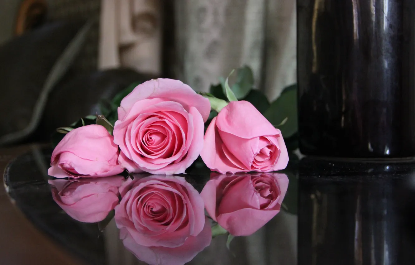 Фото обои цветы, отражение, розы, розовые