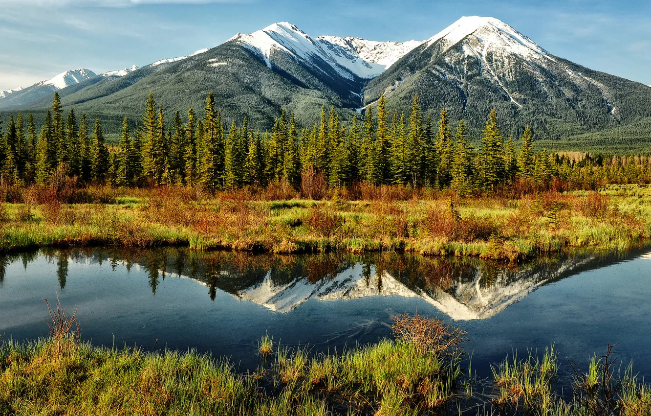 Фото обои forest, water, mountains, reflection, mirror