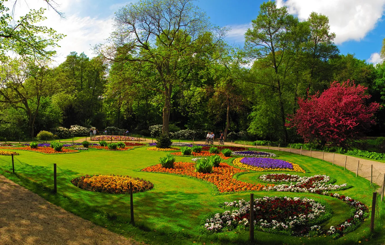 Фото обои трава, деревья, цветы, парк, отдых, Германия, разноцветные, клумбы