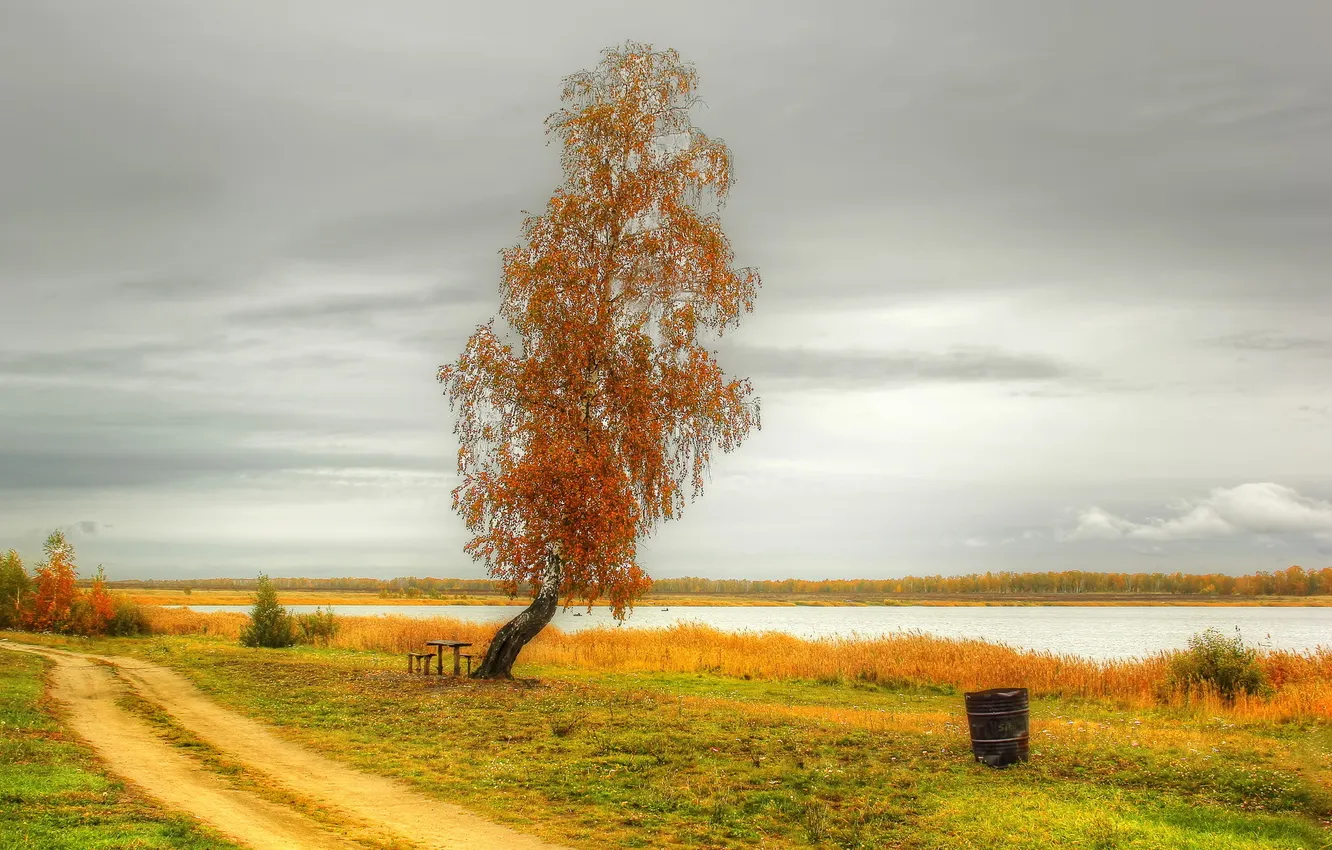 Фото обои дорога, осень, природа, озеро, фото, дерево