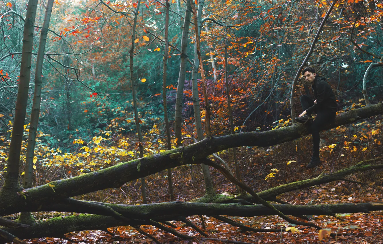 Фото обои осень, лес, деревья, парень