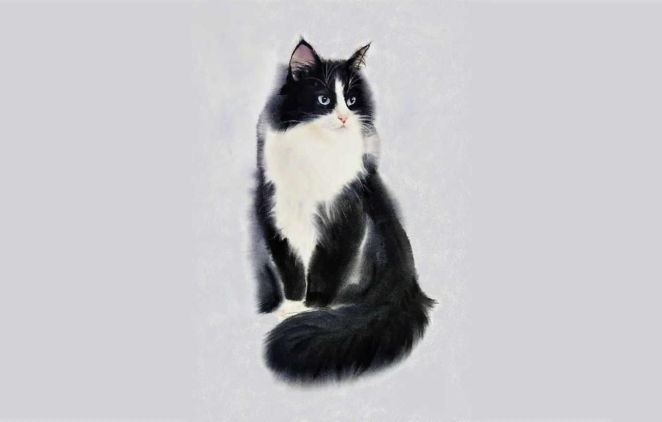 Фото обои Рисунок, Кошка, Кот, Арт, Животное, Хвост