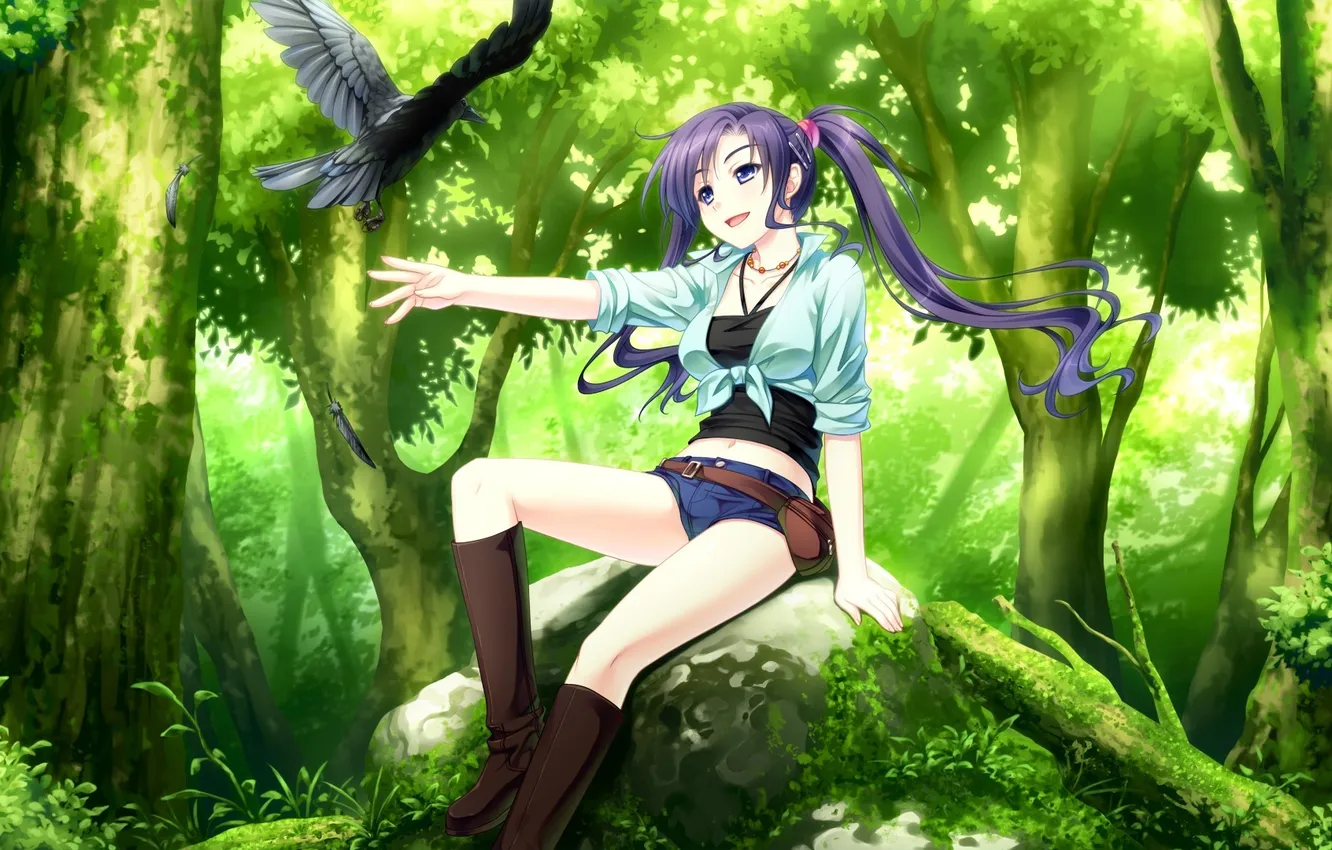Фото обои лес, девушка, птица, камень, & - sora no mukou de sakimasu you ni, game cg