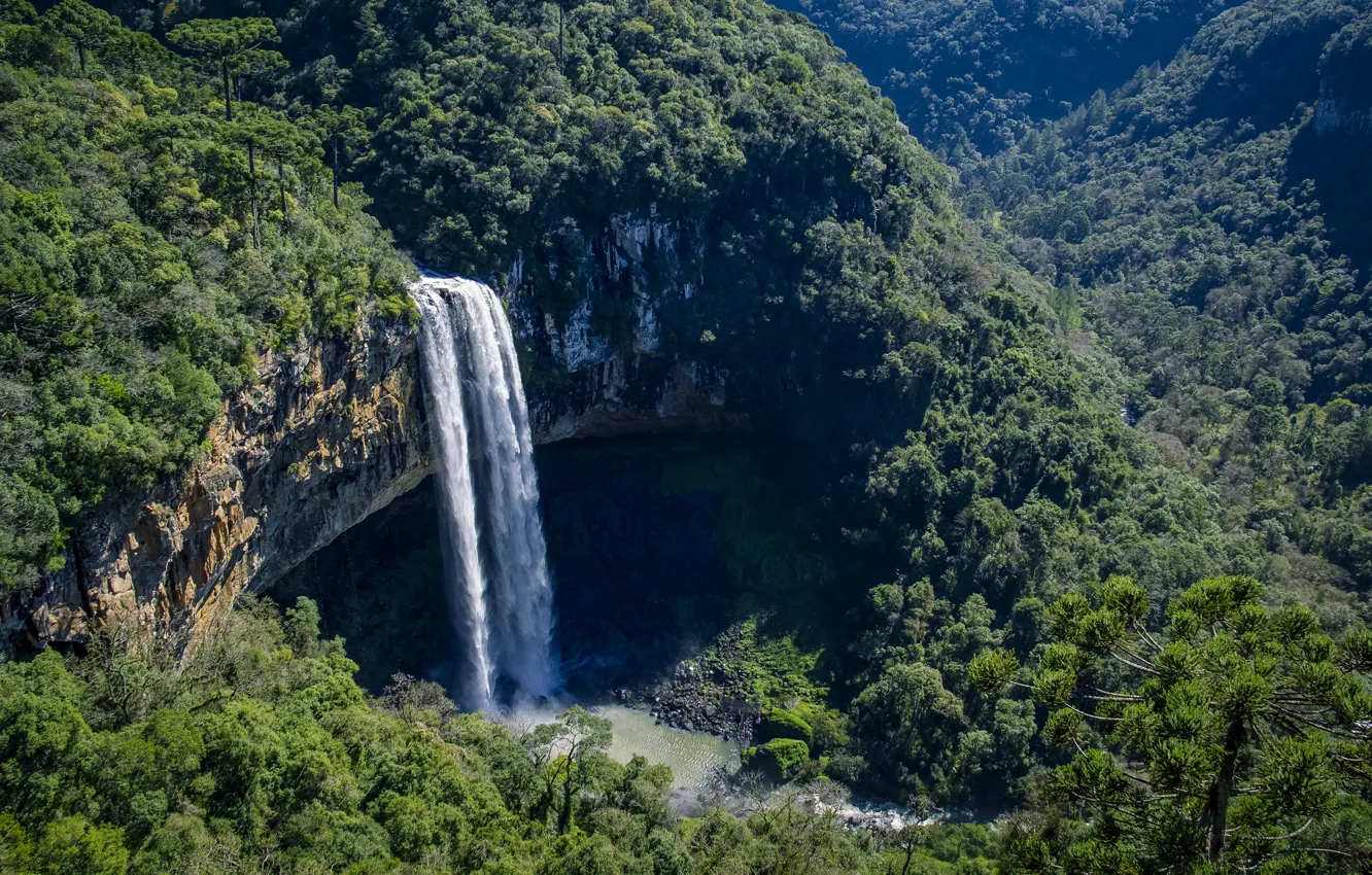 Фото обои лес, скала, водопад, Бразилия, Brazil, водопад Каракол, Caracol Falls, Canela