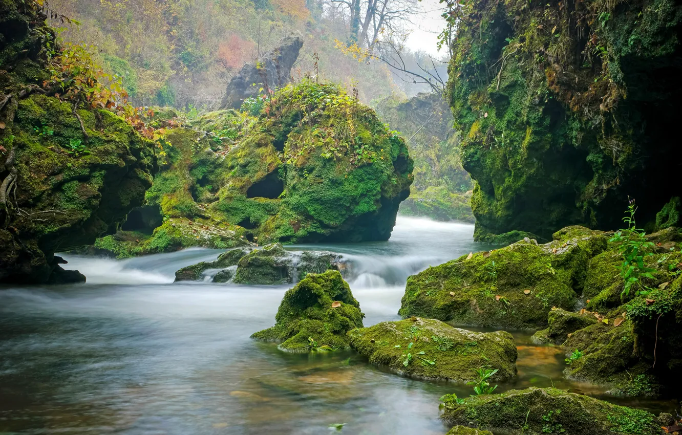 Фото обои камни, мох, речка, Хорватия, Korana River