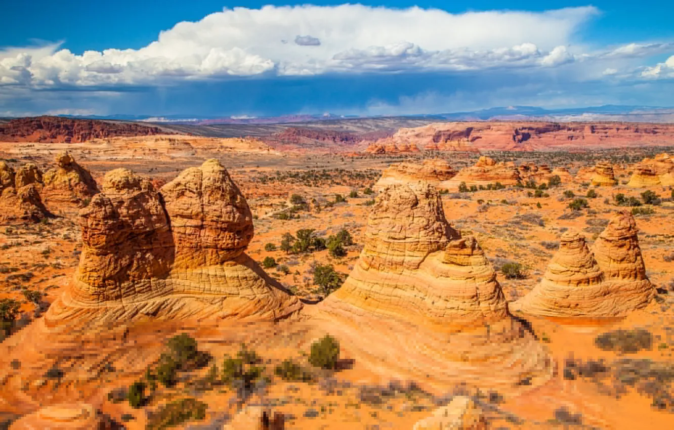 Фото обои скалы, краски, пустыня, Аризона, США
