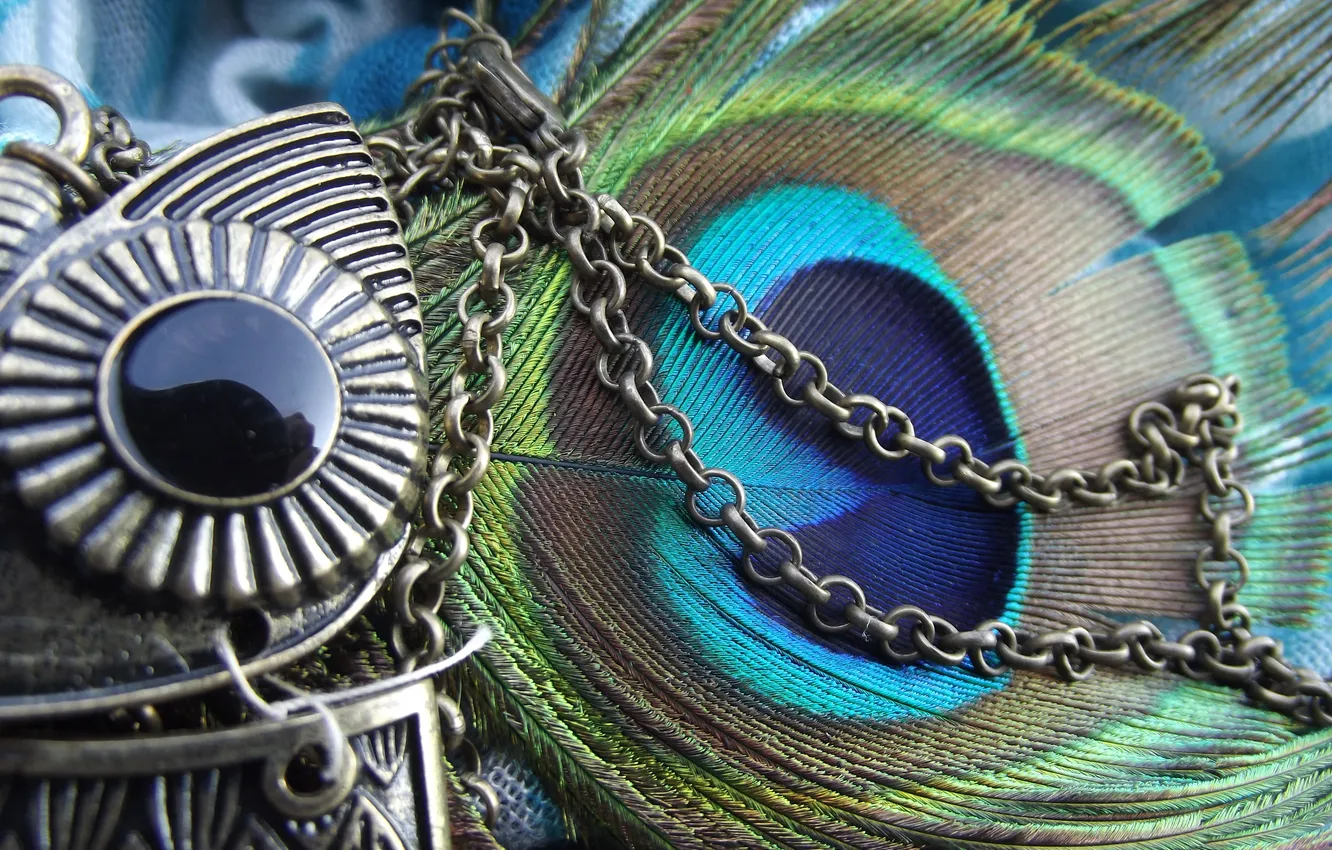 Фото обои перо, сова, кулон, украшение, цепочка