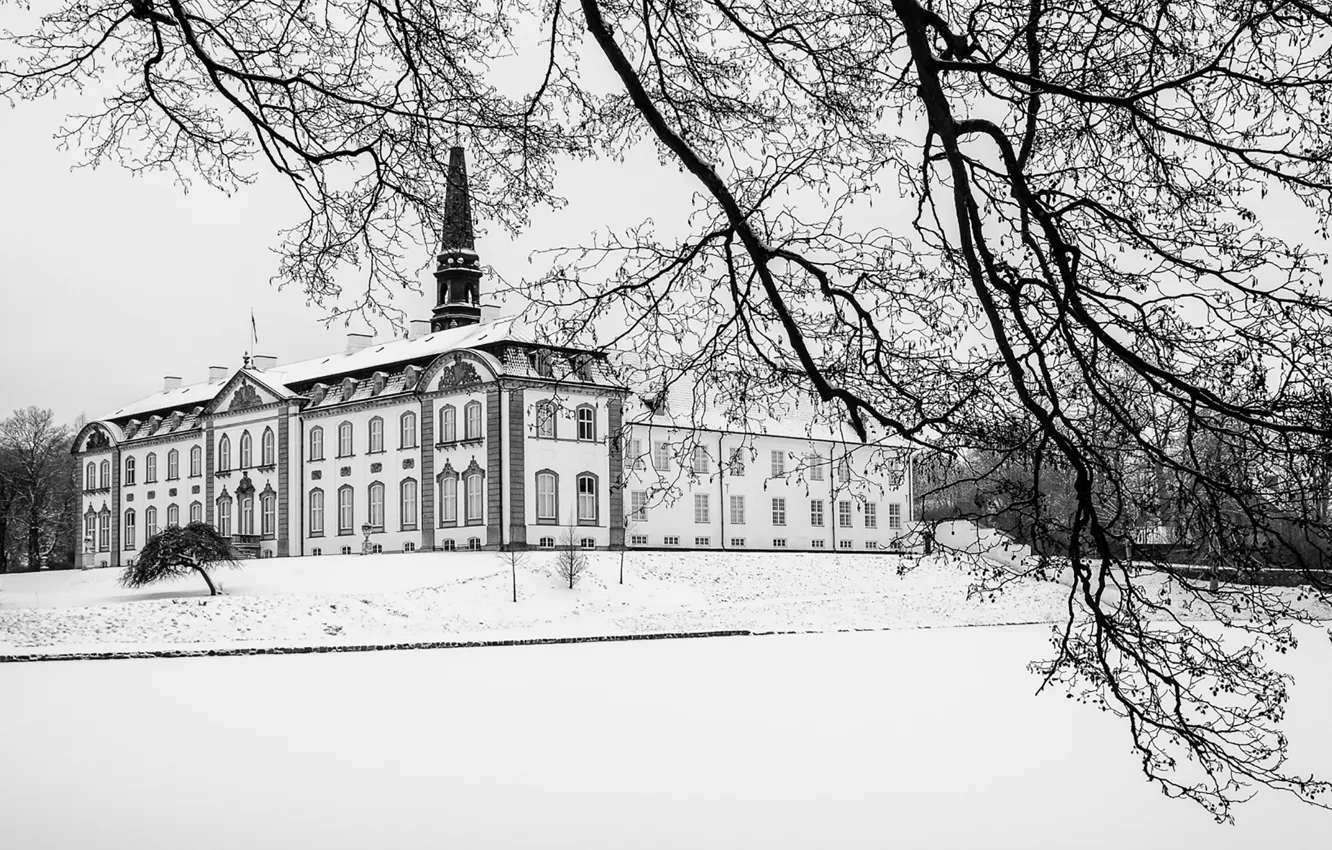 Фото обои winter, snow, branch, Denmark, cloudy, Zealand, Axel Berg, Haslev