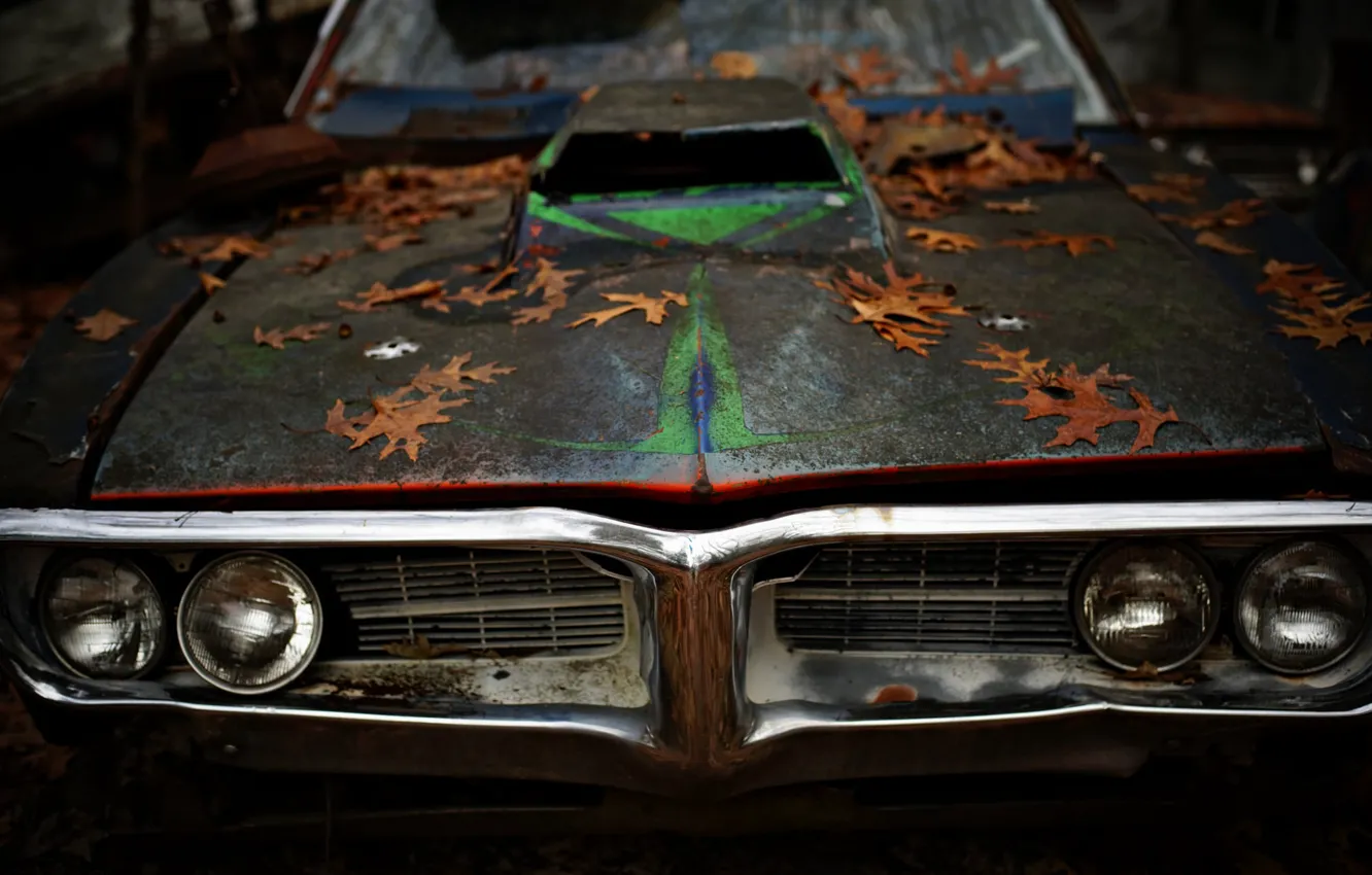 Фото обои листья, Pontiac, muscle car, Firebird