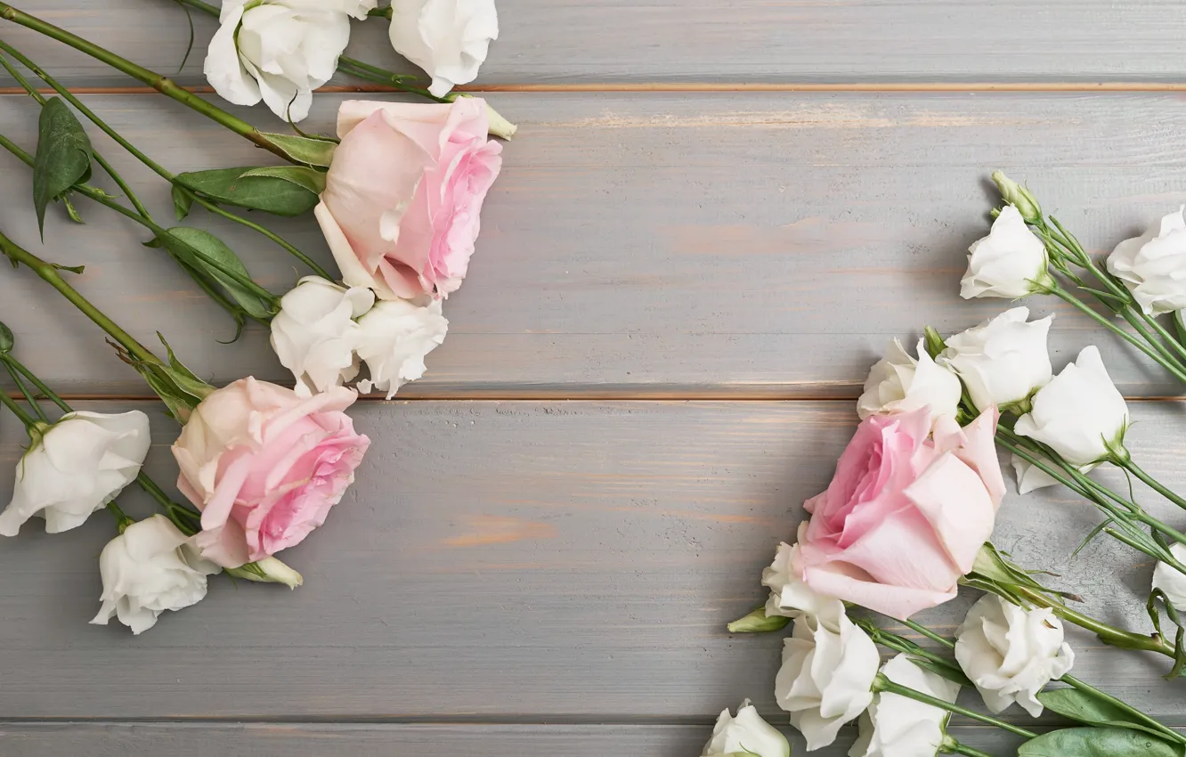 Фото обои цветы, розы, эустома