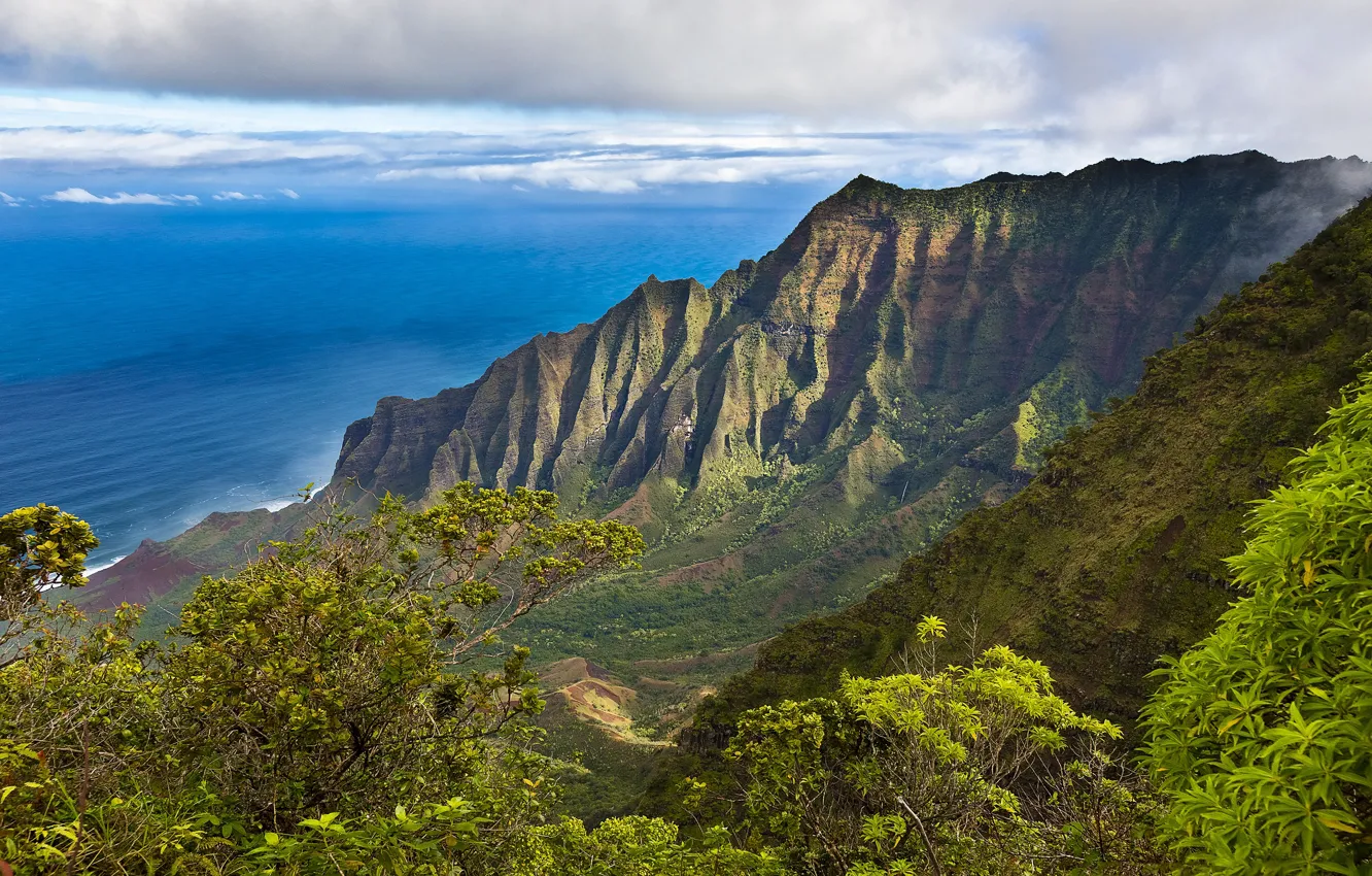 Фото обои море, скалы, берег