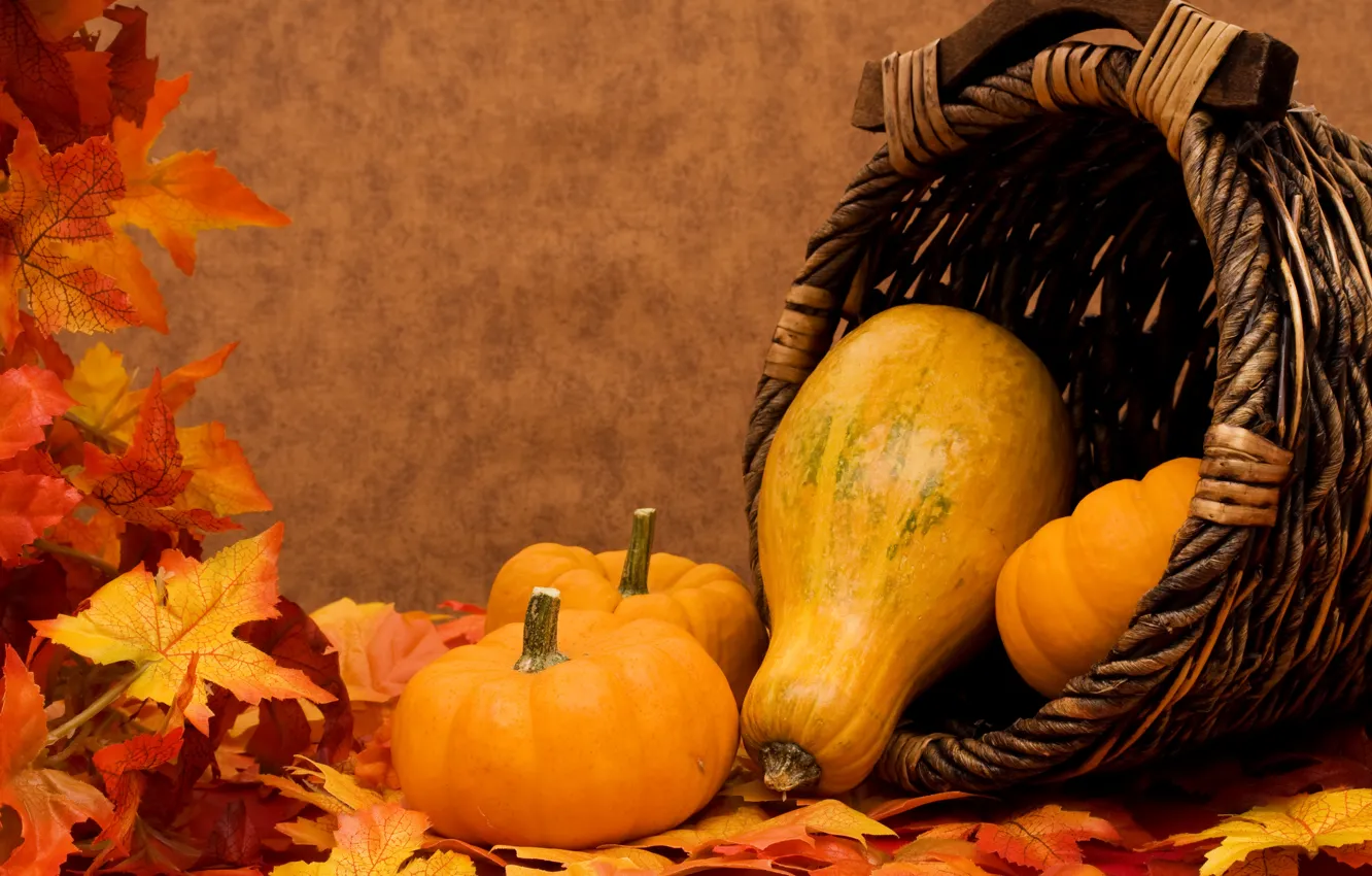 Фото обои осень, листья, корзина, тыквы, овощи