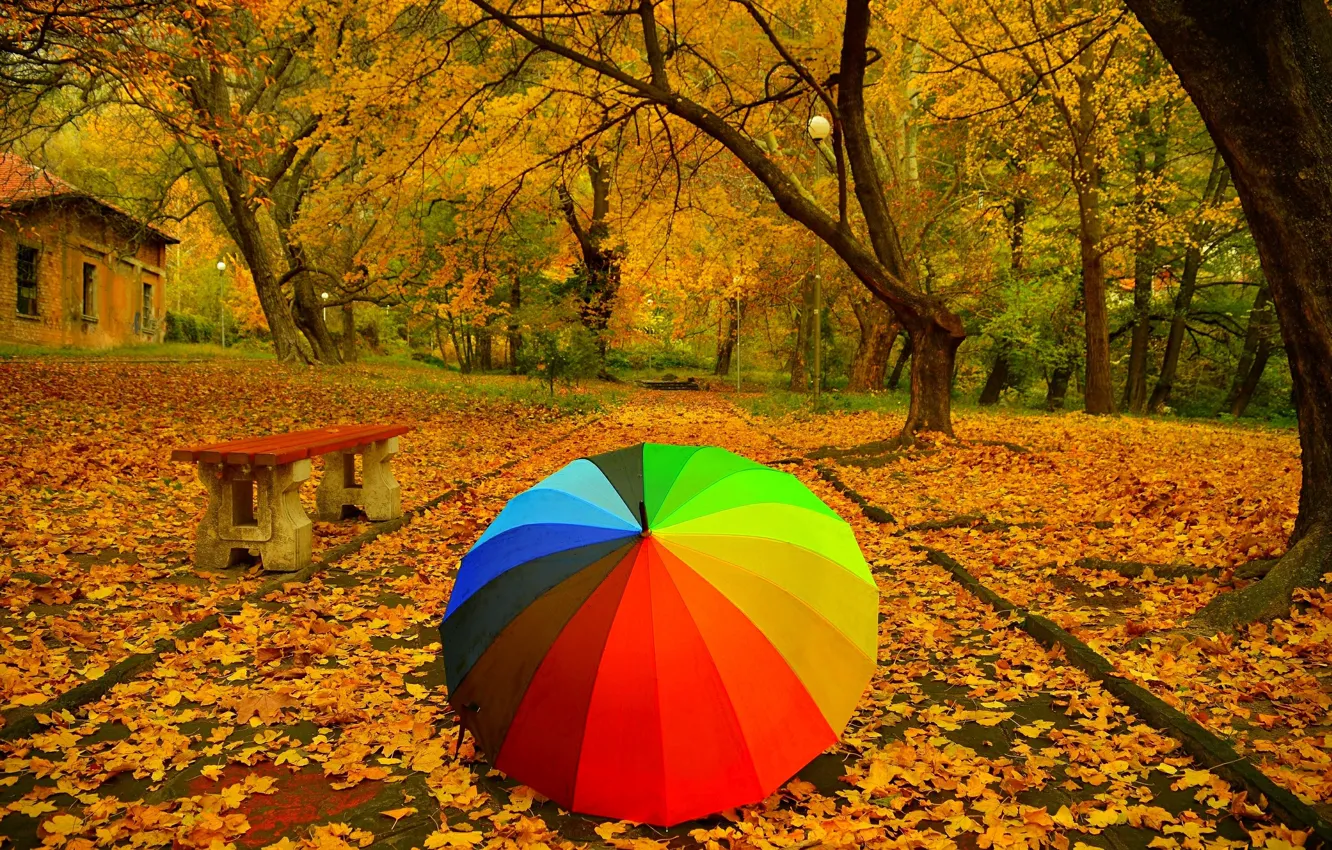 Фото обои Осень, Деревья, Зонтик, Парк, Fall, Листва, Скамья, Дорожка