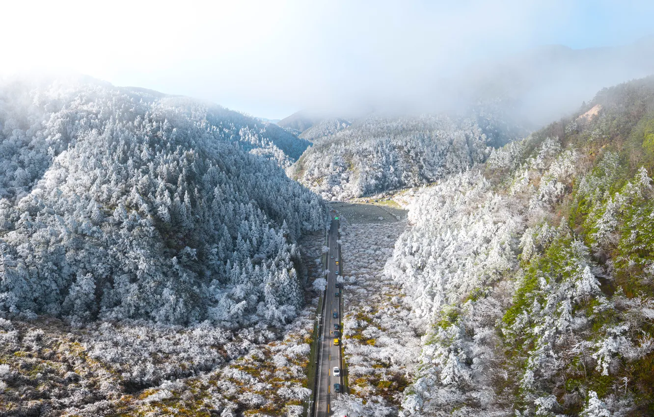 Фото обои forest, road, cars, trees, fog, hills, highway, frost