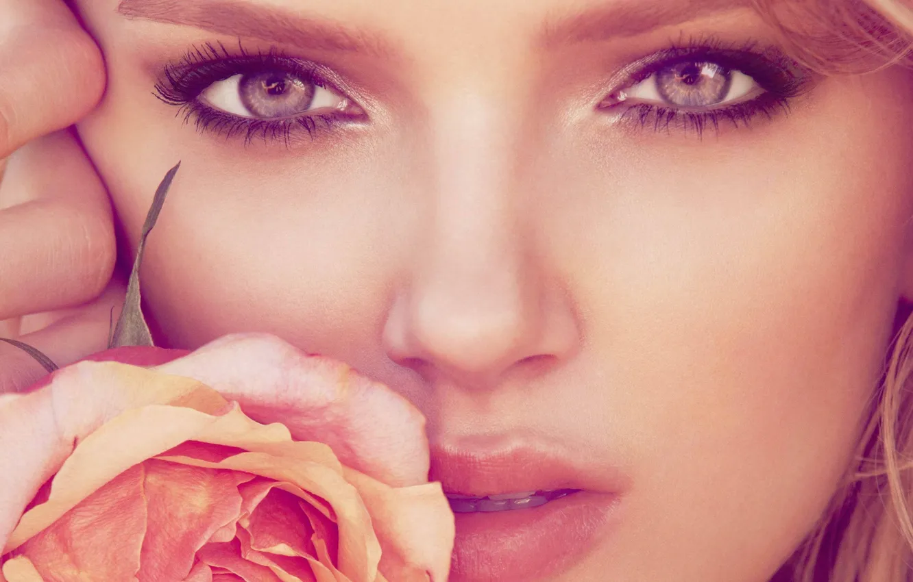 Фото обои глаза, взгляд, девушка, лицо, нежность, роза, макияж, нос