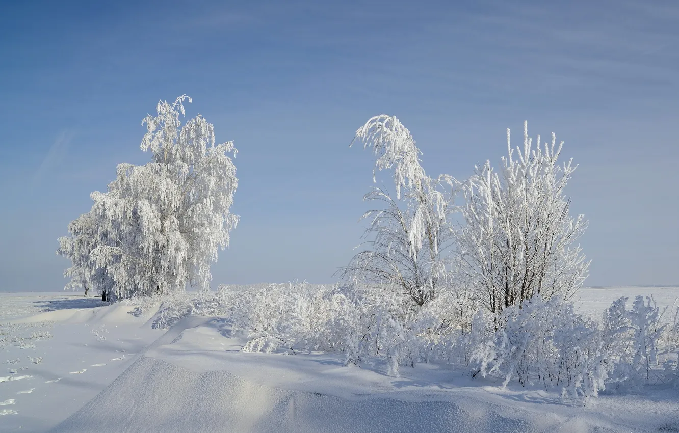 Фото обои зима, снег, пейзаж