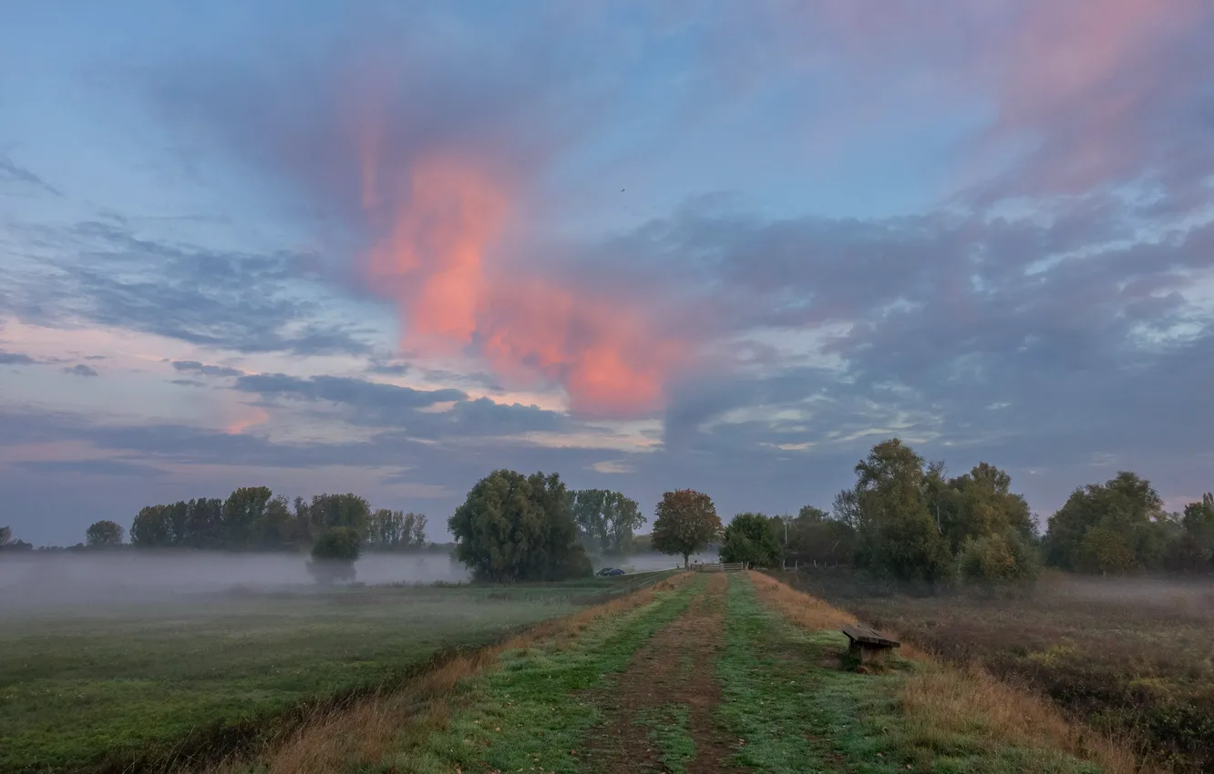 Фото обои дорога, поле, осень, небо, трава, облака, деревья, скамейка