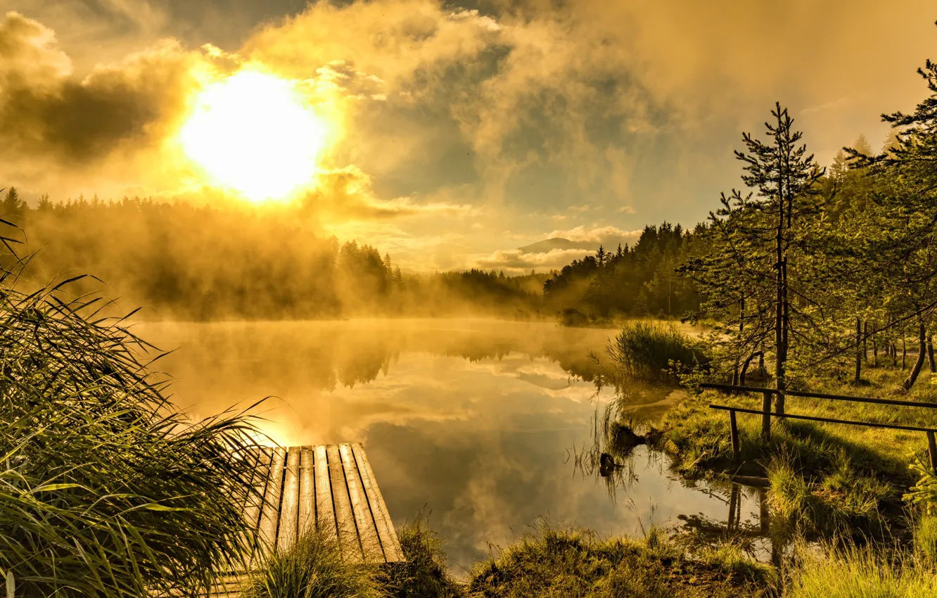 Фото обои туман, озеро, утро, причал, мостик