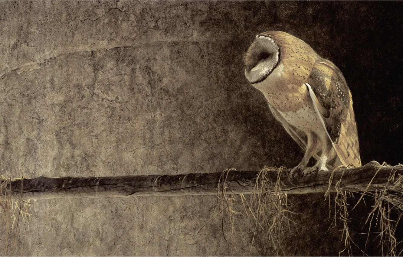 Фото обои сова, живопись, Robert Bateman, Роберт Батман